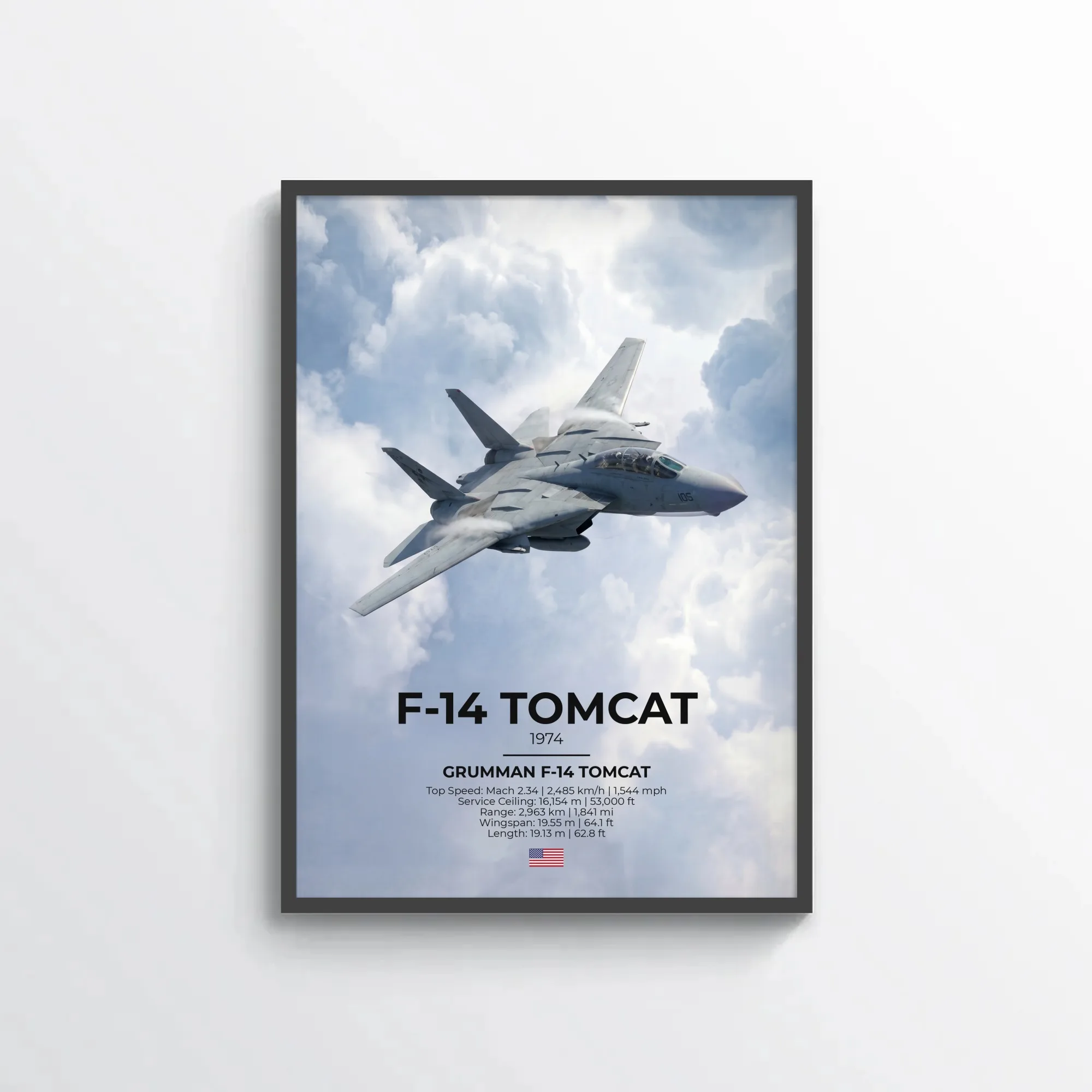 F-14 Tomcat