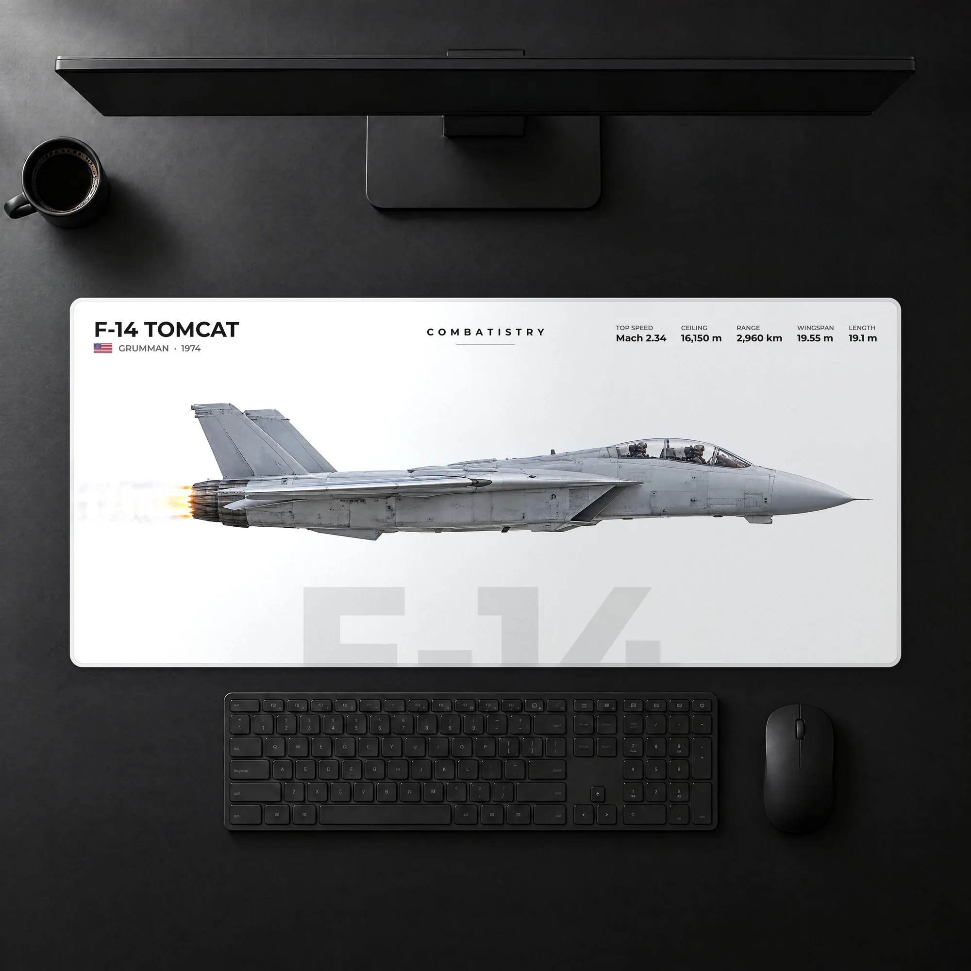 F-14 Tomcat Mousepad